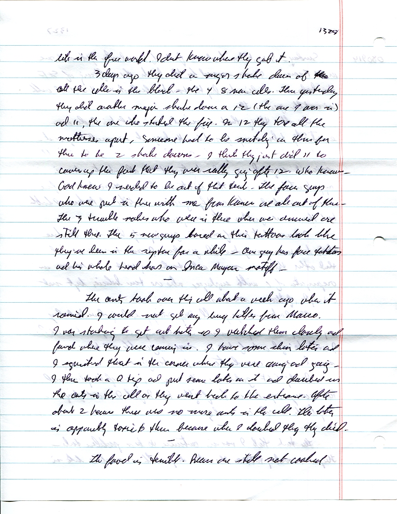 Dr John WorldPeace 2008 Prison Journal